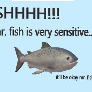 Meet your Posher, Addison